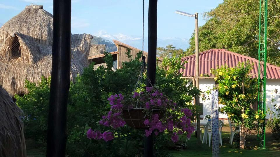 Palomino Breeze Hostal Экстерьер фото