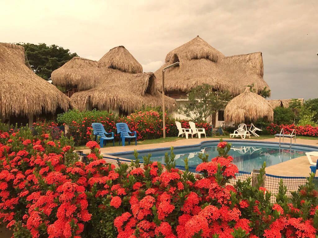 Palomino Breeze Hostal Экстерьер фото