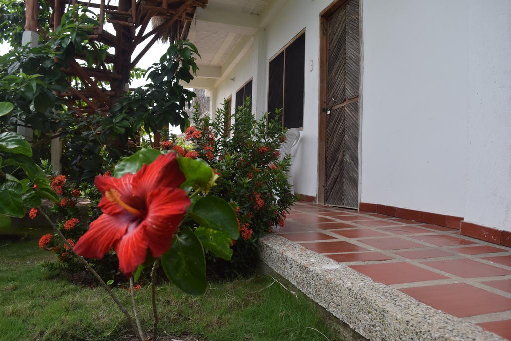 Palomino Breeze Hostal Экстерьер фото